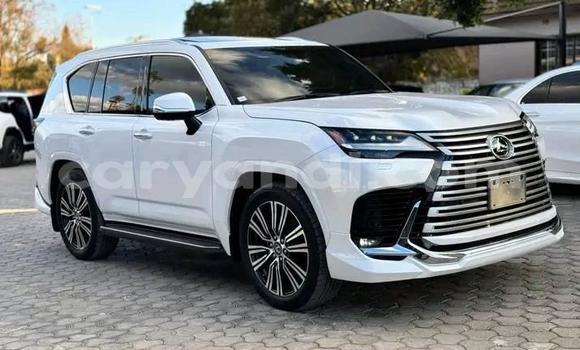 Buy Used Lexus LX 570 White Car in Lusaka in Zambia Buy Used Lexus LX 570 White Car in Lusaka in Zambia