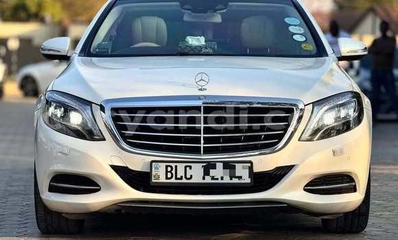 Tenga Tsaru Mercedes‒Benz S–Class Chena Mota in Lusaka in Zambia