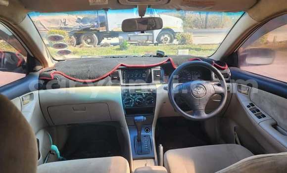 Buy Used Toyota Runx White Car in Lusaka in Zambia Buy Used Toyota Runx White Car in Lusaka in Zambia