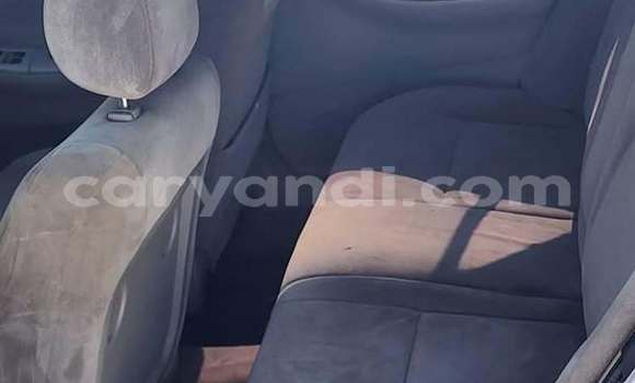 Buy Used Toyota Runx White Car in Lusaka in Zambia Buy Used Toyota Runx White Car in Lusaka in Zambia