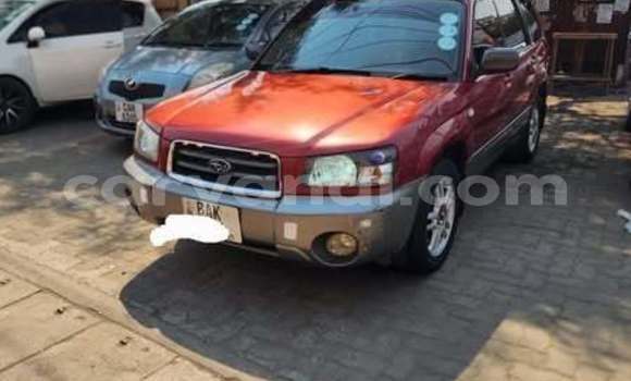 Nunua Ilio tumika Subaru Forester Nyingine Gari ndani ya Lusaka nchini Zambia