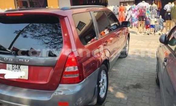 Tenga Tsaru Subaru Forester Zvimwe Mota in Lusaka in Zambia Tenga Tsaru Subaru Forester Zvimwe Mota in Lusaka in Zambia