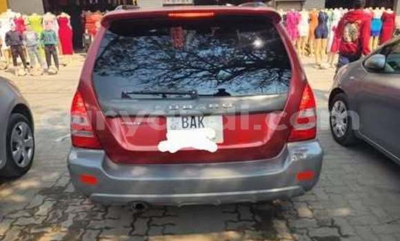 Tenga Tsaru Subaru Forester Zvimwe Mota in Lusaka in Zambia Tenga Tsaru Subaru Forester Zvimwe Mota in Lusaka in Zambia