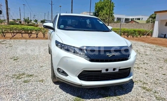 Tenga Tsaru Toyota Harrier Chena Mota in Lusaka in Zambia Tenga Tsaru Toyota Harrier Chena Mota in Lusaka in Zambia