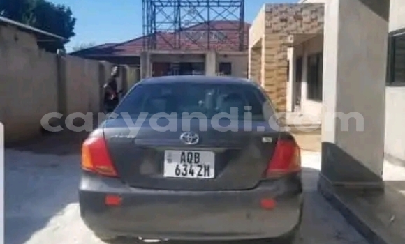 Tenga Tsaru Toyota Axio Nhema Mota in Lusaka in Zambia Tenga Tsaru Toyota Axio Nhema Mota in Lusaka in Zambia