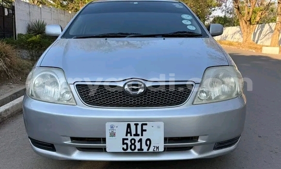 Buy Used Toyota Runx Other Car in Lusaka in Zambia Buy Used Toyota Runx Other Car in Lusaka in Zambia