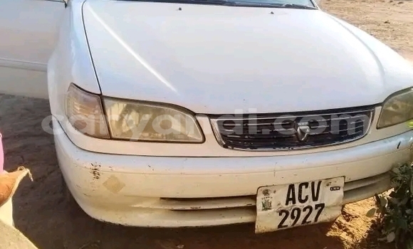 Buy Used Toyota Corolla White Car in Choma in Southern Buy Used Toyota Corolla White Car in Choma in Southern