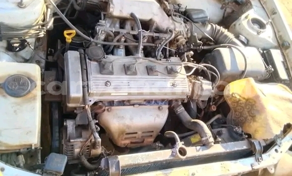 Buy Used Toyota Corolla White Car in Choma in Southern Buy Used Toyota Corolla White Car in Choma in Southern