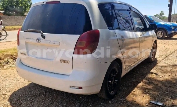 Buy Used Toyota Spacio White Car in Lusaka in Zambia Buy Used Toyota Spacio White Car in Lusaka in Zambia