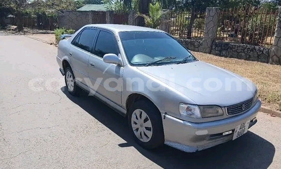 Buy Used Toyota Corolla Other Car in Lusaka in Zambia Buy Used Toyota Corolla Other Car in Lusaka in Zambia