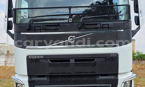 Buy Used Volvo FL White Truck in Livingstone in Zambia