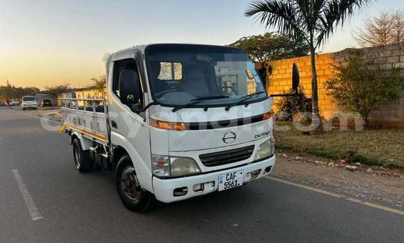 Buy Used Renault D55 White Truck in Lusaka in Zambia