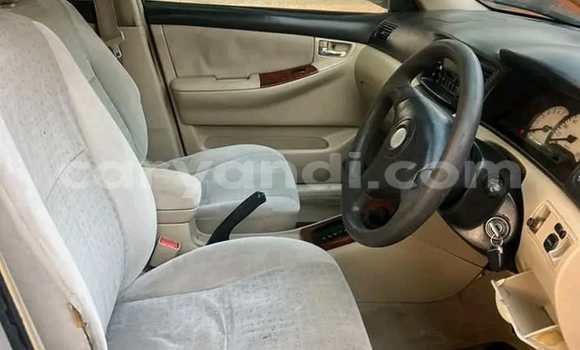 Tenga Tsaru Toyota Runx Sirivha Mota in Chipata in Zambia