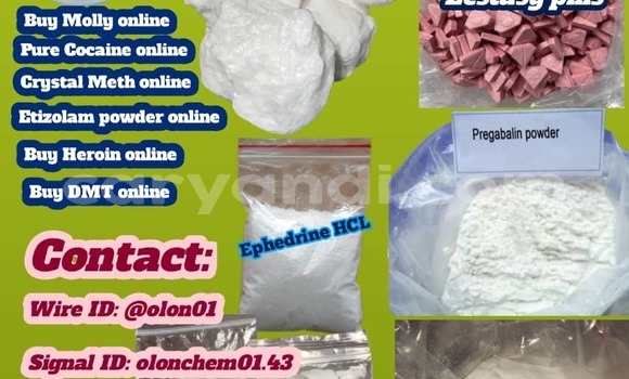 Medium with watermark img 20251013 wa0010