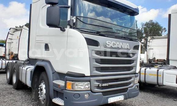 Nunua Ilio tumika Scania R420 Nyeupe Lori ndani ya Lusaka nchini Zambia