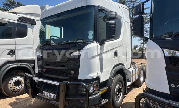 Buy Used Scania R420 White Truck in Lusaka in Zambia Buy Used Scania R420 White Truck in Lusaka in Zambia