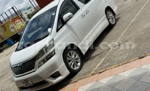 Nunua Ilio tumika Toyota Alphard Nyeupe Gari ndani ya Lusaka nchini Zambia Nunua Ilio tumika Toyota Alphard Nyeupe Gari ndani ya Lusaka nchini Zambia