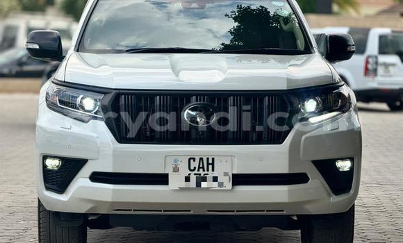 Buy Used Toyota Prado White Car in Lusaka in Zambia