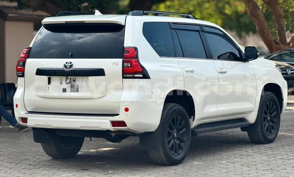 Acheter Occasion Voiture Toyota Prado Blanc à Lusaka, Zambie Acheter Occasion Voiture Toyota Prado Blanc à Lusaka, Zambie