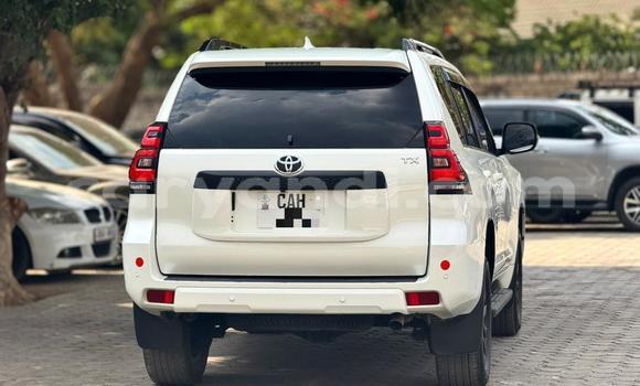Acheter Occasion Voiture Toyota Prado Blanc à Lusaka, Zambie Acheter Occasion Voiture Toyota Prado Blanc à Lusaka, Zambie