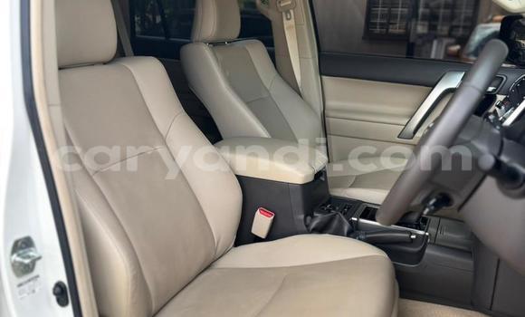 Acheter Occasion Voiture Toyota Prado Blanc à Lusaka, Zambie Acheter Occasion Voiture Toyota Prado Blanc à Lusaka, Zambie