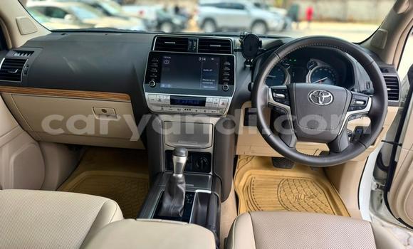 Acheter Occasion Voiture Toyota Prado Blanc à Lusaka, Zambie Acheter Occasion Voiture Toyota Prado Blanc à Lusaka, Zambie