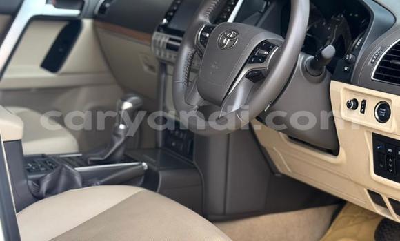 Acheter Occasion Voiture Toyota Prado Blanc à Lusaka, Zambie Acheter Occasion Voiture Toyota Prado Blanc à Lusaka, Zambie