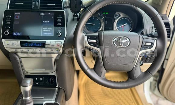 Acheter Occasion Voiture Toyota Prado Blanc à Lusaka, Zambie Acheter Occasion Voiture Toyota Prado Blanc à Lusaka, Zambie