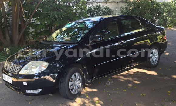 Buy Used Toyota 4Runner Black Car in Chingola in Zambia Buy Used Toyota 4Runner Black Car in Chingola in Zambia