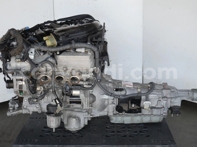 Big with watermark image c