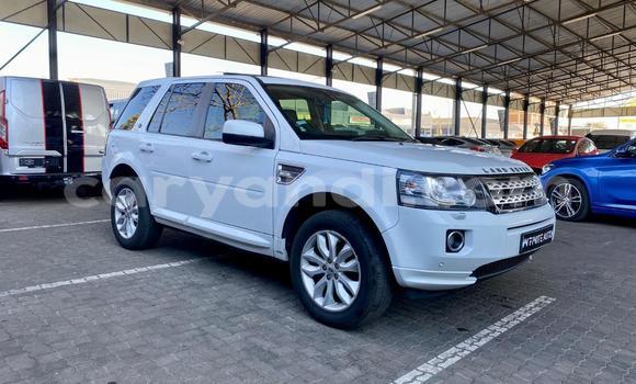 Buy Used Land Rover Freelander White Car in Lusaka in Zambia