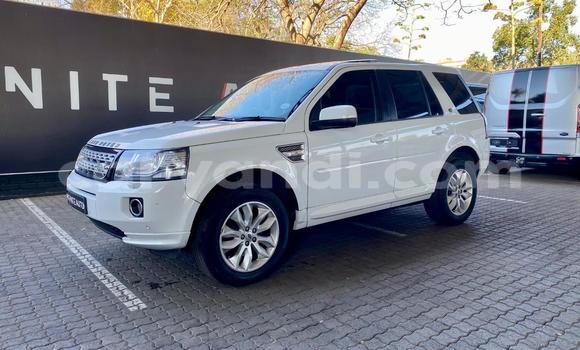 Buy Used Land Rover Freelander White Car in Lusaka in Zambia Buy Used Land Rover Freelander White Car in Lusaka in Zambia
