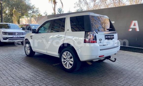 Buy Used Land Rover Freelander White Car in Lusaka in Zambia Buy Used Land Rover Freelander White Car in Lusaka in Zambia