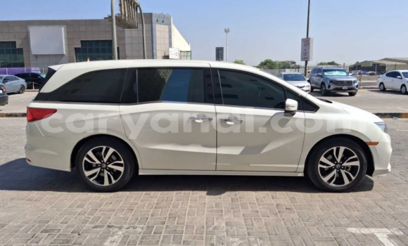 Buy Used Honda Odyssey White Car in Lusaka in Zambia Buy Used Honda Odyssey White Car in Lusaka in Zambia