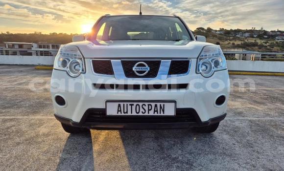 Buy Used Nissan X–Trail White Car in Livingstone in Zambia Buy Used Nissan X–Trail White Car in Livingstone in Zambia