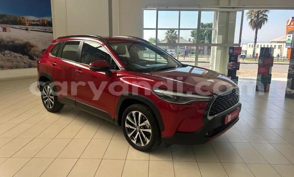 Buy Used Toyota Corolla Cross Red Car in Livingstone in Zambia