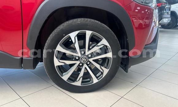 Nunua Ilio tumika Toyota Corolla Cross Nyekundu Gari ndani ya Livingstone nchini Zambia Nunua Ilio tumika Toyota Corolla Cross Nyekundu Gari ndani ya Livingstone nchini Zambia
