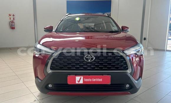 Nunua Ilio tumika Toyota Corolla Cross Nyekundu Gari ndani ya Livingstone nchini Zambia Nunua Ilio tumika Toyota Corolla Cross Nyekundu Gari ndani ya Livingstone nchini Zambia
