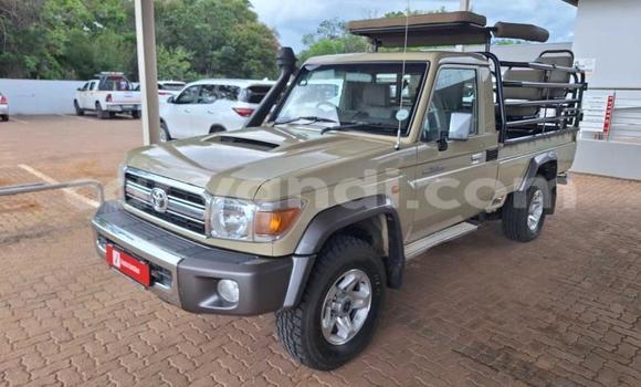 Buy Used Toyota Land Cruiser Brown Car in Livingstone in Zambia