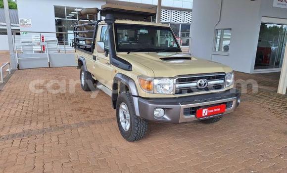 Nunua Ilio tumika Toyota Land Cruiser Brown Gari ndani ya Livingstone nchini Zambia Nunua Ilio tumika Toyota Land Cruiser Brown Gari ndani ya Livingstone nchini Zambia