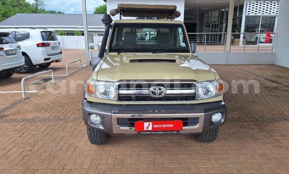 Nunua Ilio tumika Toyota Land Cruiser Brown Gari ndani ya Livingstone nchini Zambia Nunua Ilio tumika Toyota Land Cruiser Brown Gari ndani ya Livingstone nchini Zambia