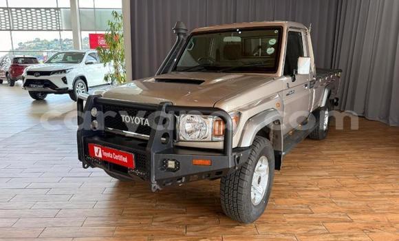 Buy Used Toyota Land Cruiser Brown Car in Livingstone in Zambia