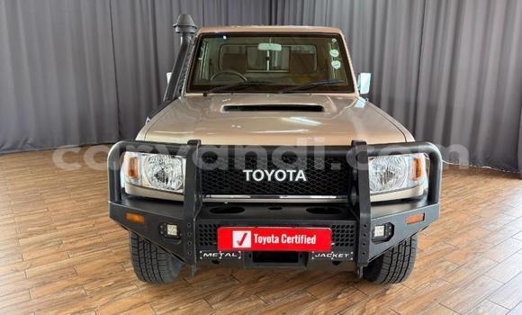 Buy Used Toyota Land Cruiser Brown Car in Livingstone in Zambia Buy Used Toyota Land Cruiser Brown Car in Livingstone in Zambia