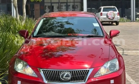 Buy Used Lexus IS 300 Red Car in Lusaka in Zambia Buy Used Lexus IS 300 Red Car in Lusaka in Zambia
