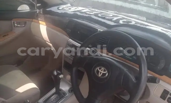 Buy Used Toyota Runx Other Car in Kansanshi in North-Western Buy Used Toyota Runx Other Car in Kansanshi in North-Western
