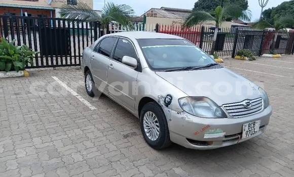 Buy Used Toyota Corolla Other Car in Lusaka in Zambia Buy Used Toyota Corolla Other Car in Lusaka in Zambia