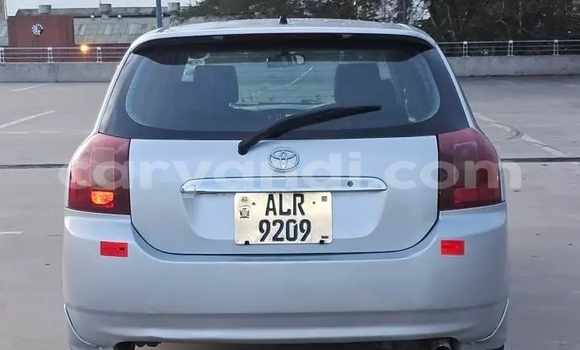 Buy Used Toyota Runx Other Car in Chipata in Zambia