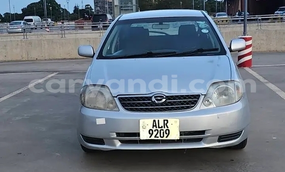 Buy Used Toyota Runx Other Car in Chipata in Zambia Buy Used Toyota Runx Other Car in Chipata in Zambia
