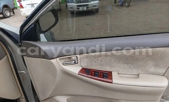 Buy Used Toyota Runx Other Car in Chipata in Zambia Buy Used Toyota Runx Other Car in Chipata in Zambia