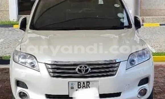 Buy Used Toyota Vanguard White Car in Lusaka in Zambia Buy Used Toyota Vanguard White Car in Lusaka in Zambia